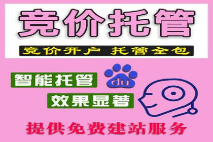 揭秘优秀SEM竞价代运营公司案例
